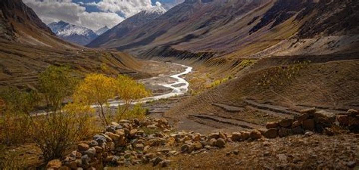 A Journey Of Age, Loss, And Enduring Impact