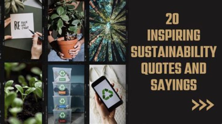 A Journey Of Love, Sustainability, And Success