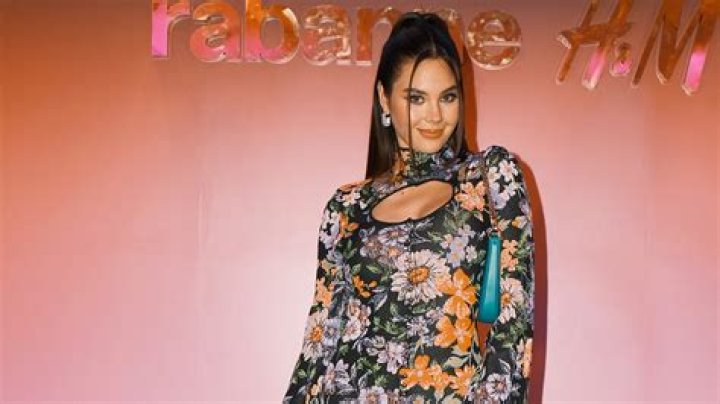 Catriona Gray's Pregnancy Rumors Examined