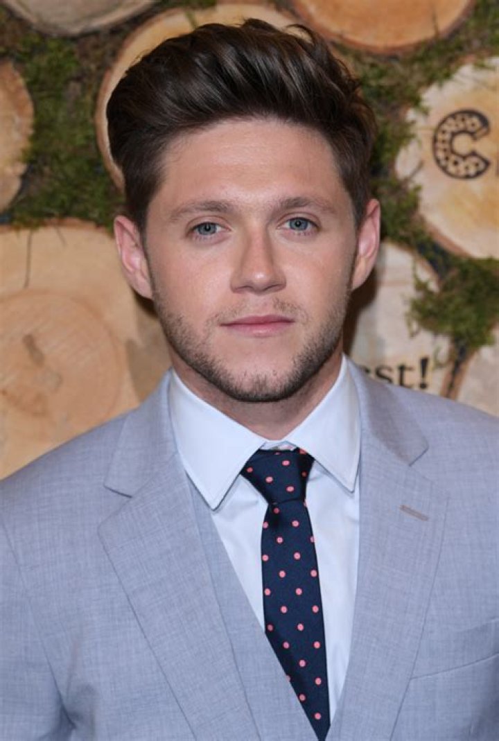 Did Niall Horan Dye His Hair Blonde Again? Fans Think So See Pic Hollywood Life |