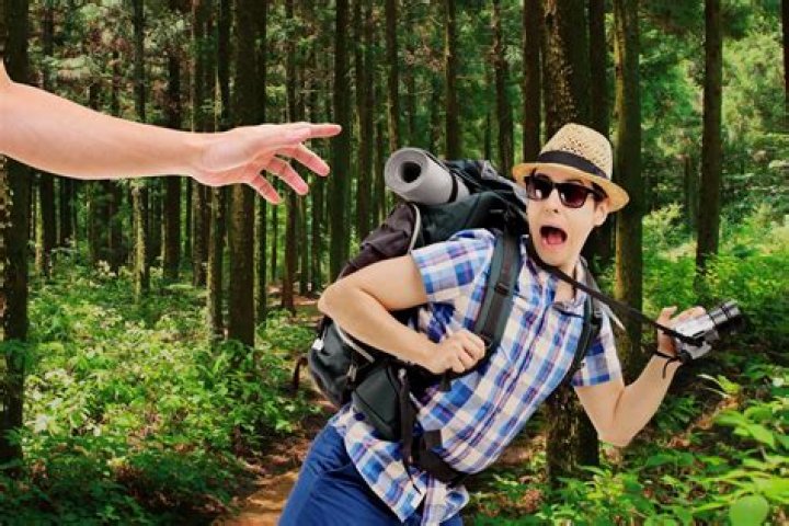 Discoveries And Insights From "Why Are The Hikers Being Hunted In"