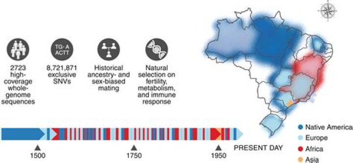 Discoveries And Insights Into Tom Drake