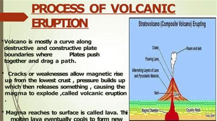 Exploring "What Happens If A Student Hits A"