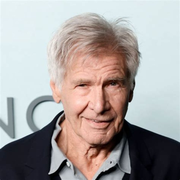 Harrison Ford Opens Up On Brad Pitt Feud Over The Devils Own Hollywood Life |