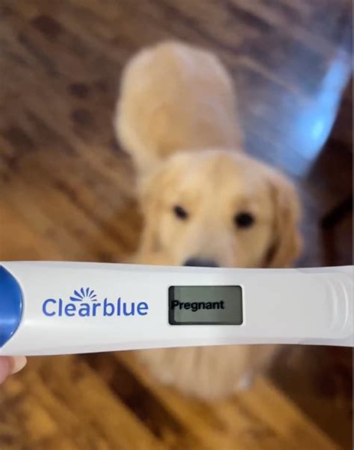 Is Alex Drummond Pregnant? Unraveling The Mystery And Making Sense Of The Clues