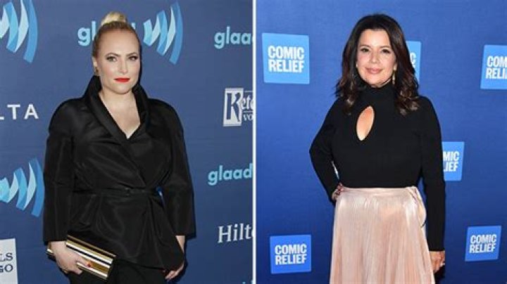 Meghan McCain Blasts The View After Ana Navarro Seemingly Shades Her Hollywood Life |