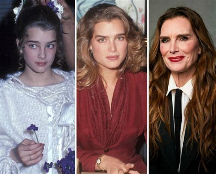 The Life of Brooke Shields' Daughter and Rising Actress ·