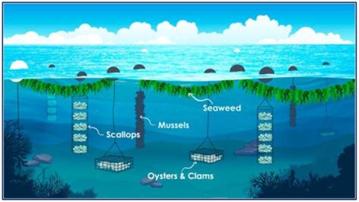 Unleashing The Power Of "S3 S A Cut Above The Rest": Discoveries And Insights