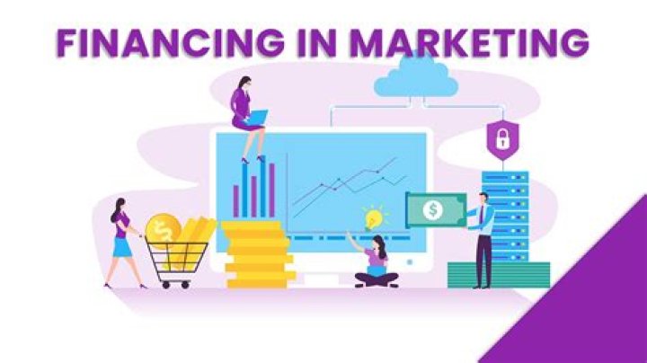 Unveiling Expertise In Marketing, Finance, And Beyond