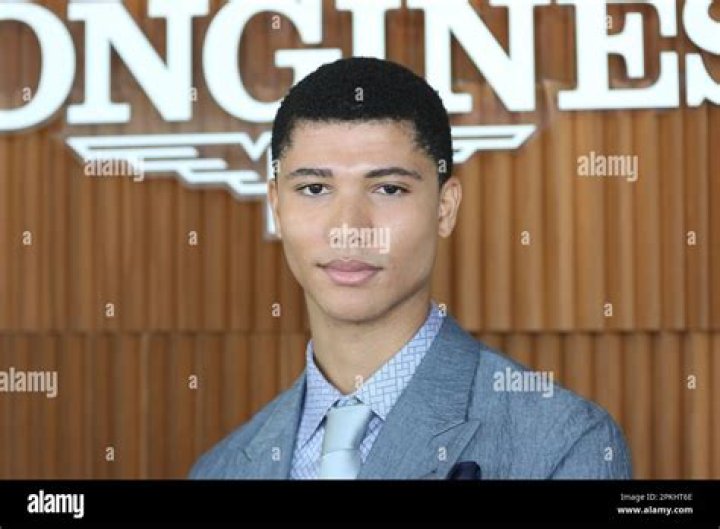 Unveiling The Intricacies Of James Majoos' Relationships