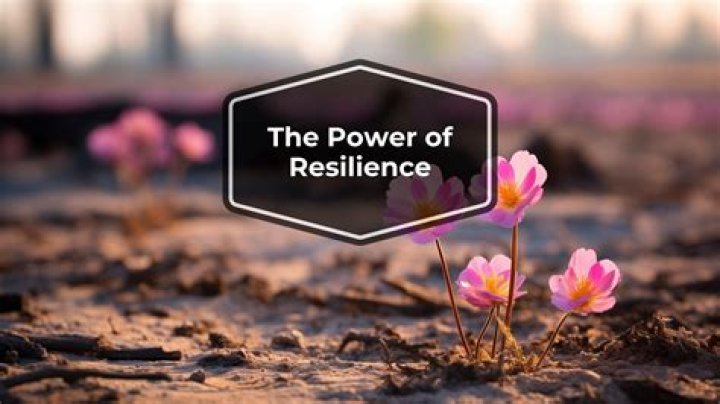 Unveiling The Power Of Resilience And Growth