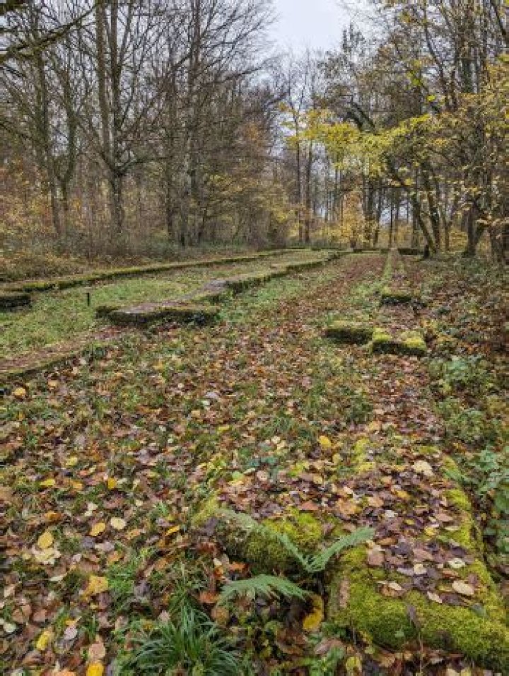 Unveiling The Secrets Of "Fanum Real Name": Discoveries And Insights