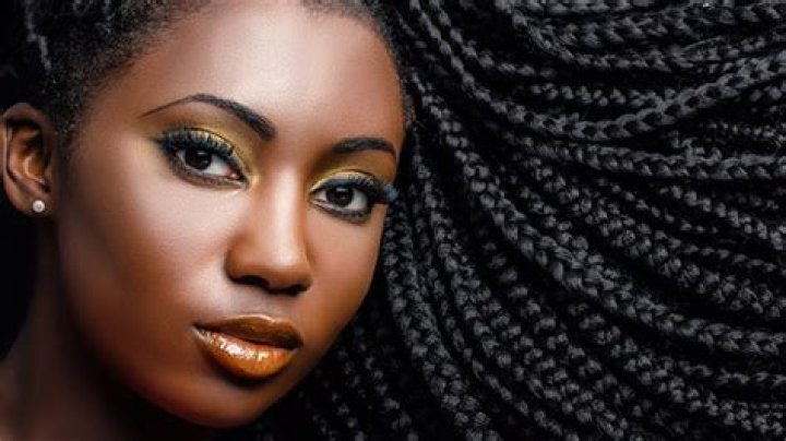 What are Knotless Braids? A Guide HollywoodLife Hollywood Life |