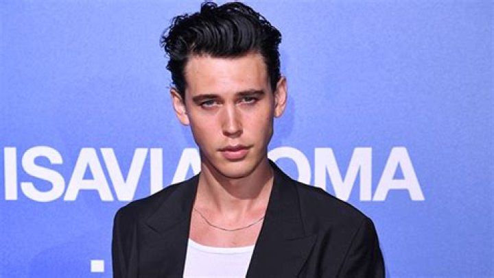 Who Is Austin Butler? 5 Facts About Actor Who Dated Vanessa Hudgens Hollywood Life |